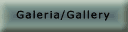 galeria/gallery